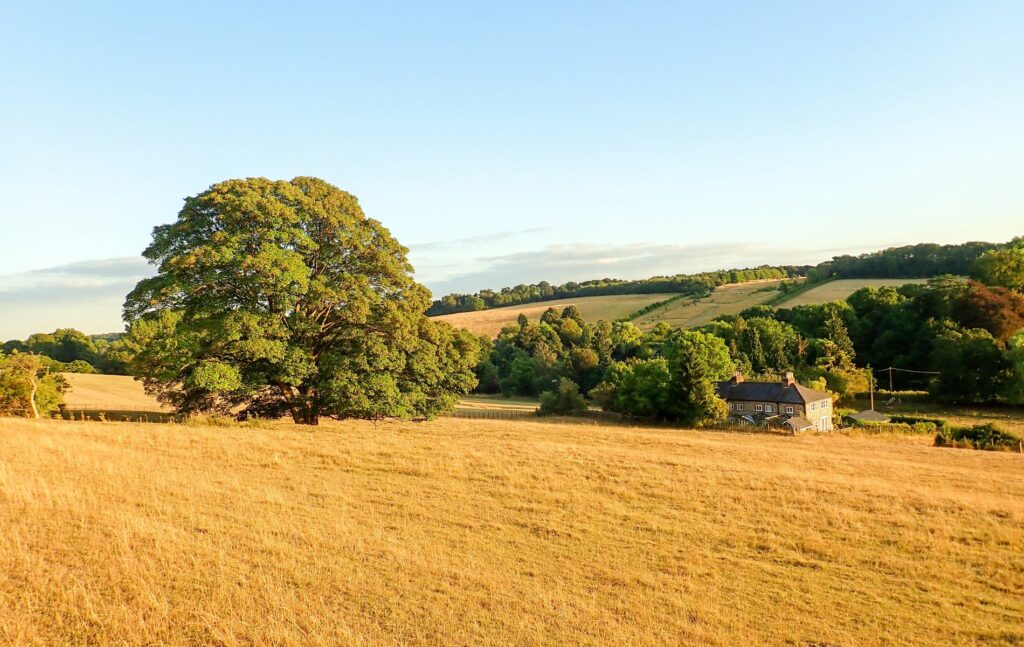 Villages in Hertfordshire, Sarratt Bottom Nature Reserve