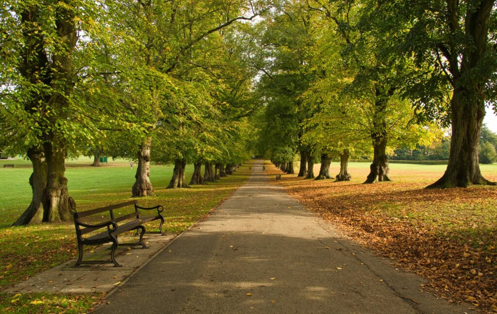 Harpenden, Hertfordshire, Rothamstead Park