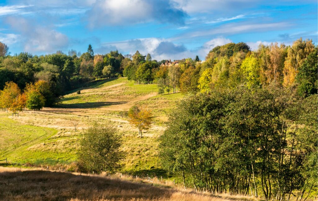 Brenchley, Autumn countryside around Brenchley near Royal Tunbridge Wells