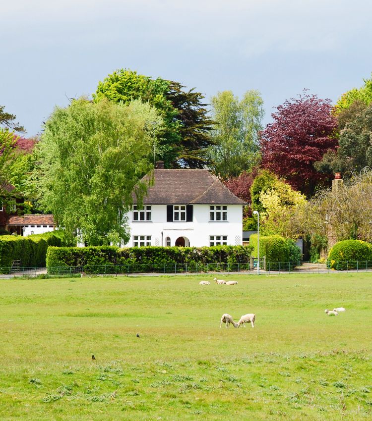Kent Property