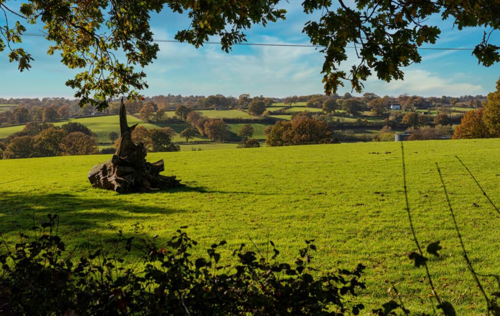 View towards Rolvenden taken from just outside Tenterden in Kent 