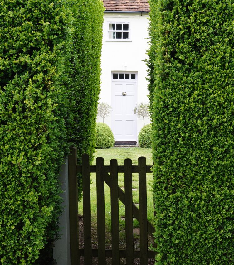 Kent property finder