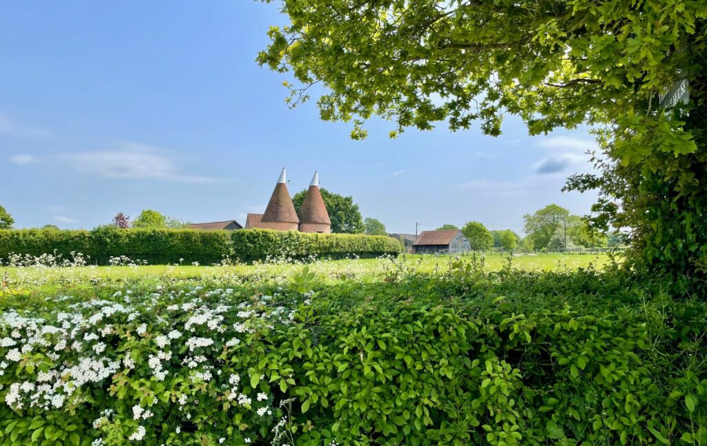 Oast houses in Biddenden