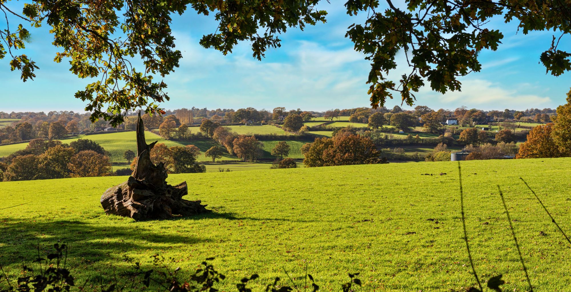 Living in Tenterden, Kent: A Buyer