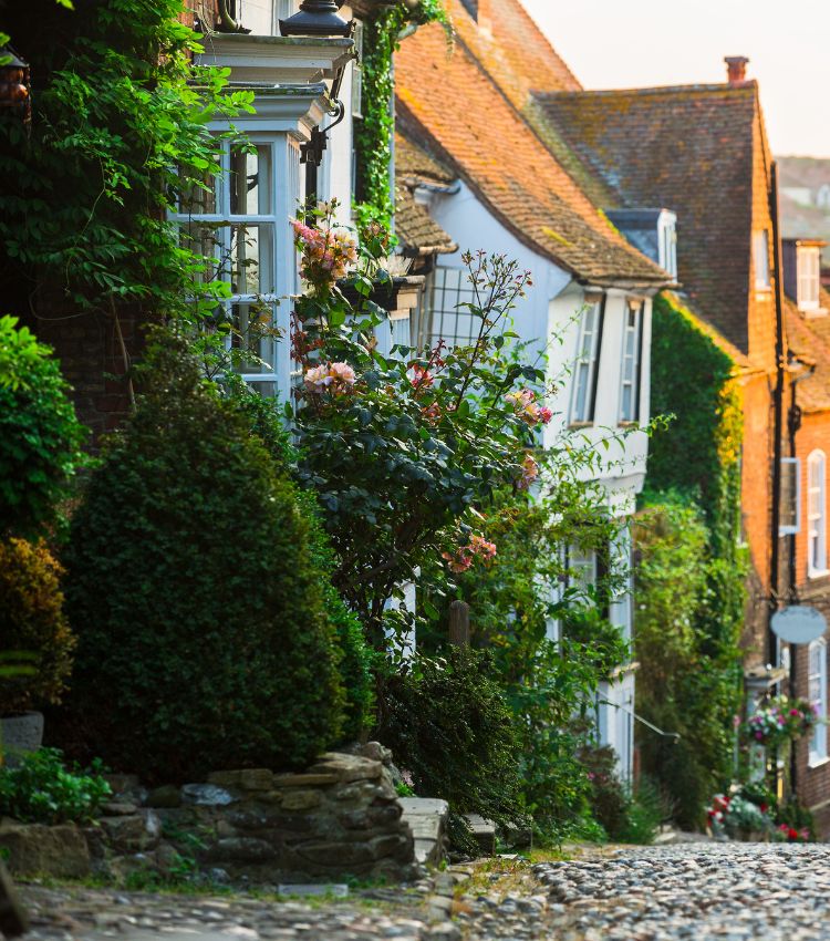Charming properties in Rye